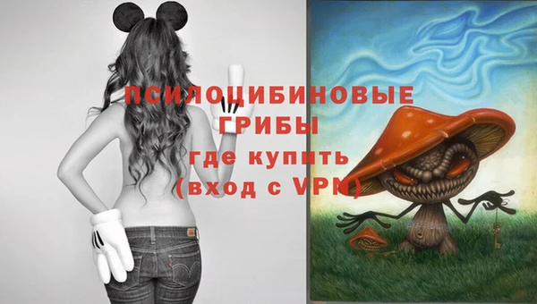 герыч Белокуриха